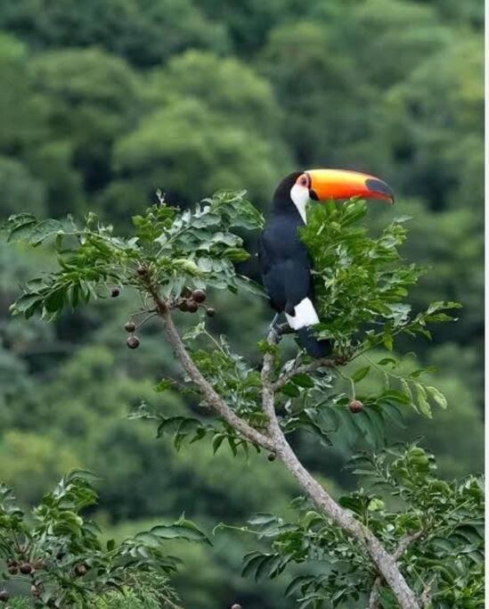 度假居 Chacara Do Vale, Lindo Visual Em