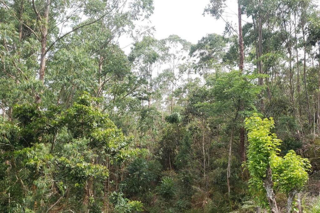 Chacara Do Vale, Lindo Visual Em Holiday home